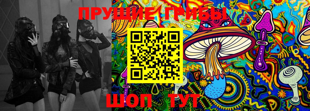 Пермь  Галлюциногенные грибы GOLDEN TEACHER  Вход с VPN  Псилоцибиновые грибы GOLDEN TEACHER 
